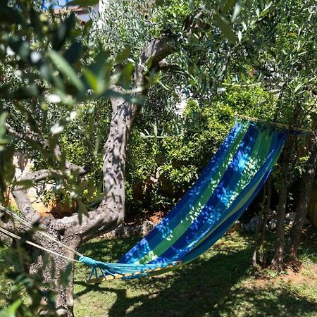 Apartments Loredana Porec Exterior photo